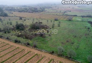 Terreno Agrícola Com 4 Hectares, Vila Nova De...