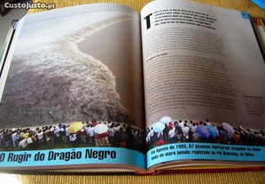 imagem_7