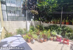 imagem_26
