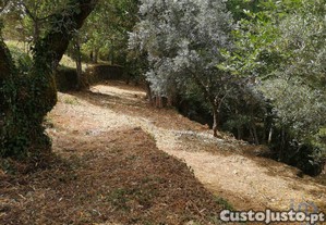 Terreno em Pedrgo Grande de 1800,00 m