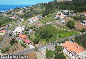 imagem_5