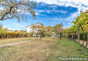 Duas Moradias Em Quinta Com Produo De Vinha...