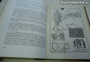imagem_7