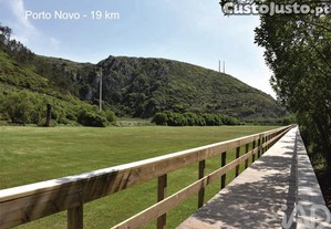 imagem_20