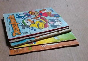 imagem_2