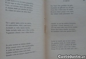 imagem_6