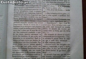 imagem_11