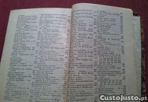 imagem_4