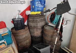 imagem_1