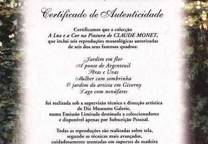 imagem_8