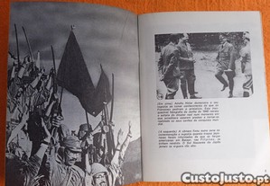 imagem_4