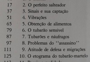 imagem_8