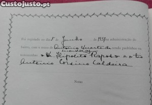 imagem_6