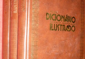 Pequeno Dicionário Brasileiro da Lingua Portuguesa