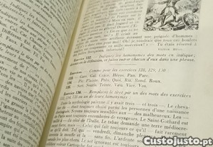 imagem_6