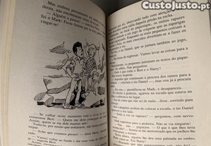 imagem_3