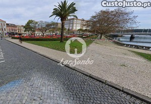 imagem_19