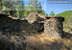 Terreno Agrcola