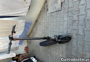imagem_8