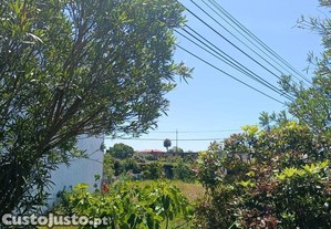 imagem_12
