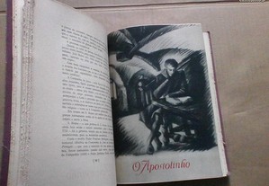 imagem_6