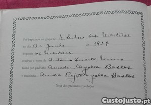imagem_7
