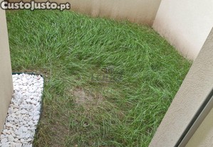 imagem_12