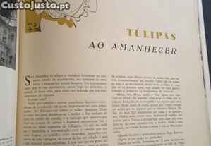 imagem_8