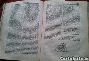 imagem_12