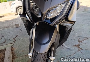 imagem_1