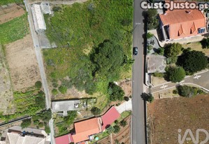 imagem_3