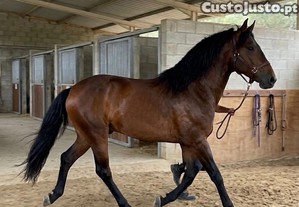 imagem_3