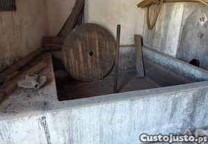 imagem_34