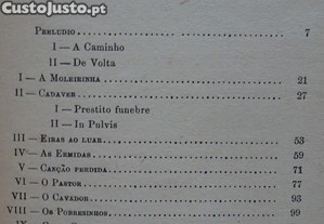 imagem_8