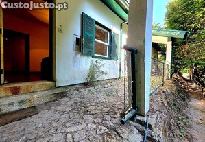 imagem_28