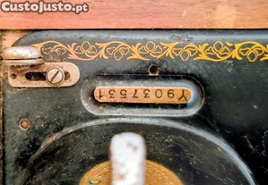 imagem_3