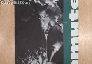 Mamute 1, segunda série