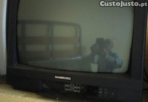 imagem_5