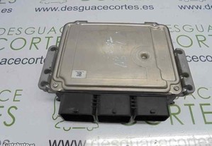 imagem_3