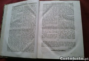 imagem_10