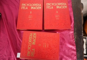 Enciclopédia pela imagem. 3 Volumes encadernados