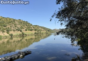 imagem_11