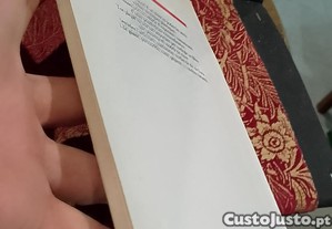 imagem_13