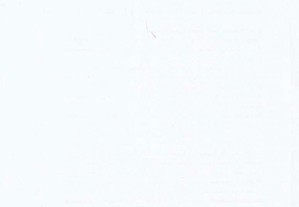 imagem_6