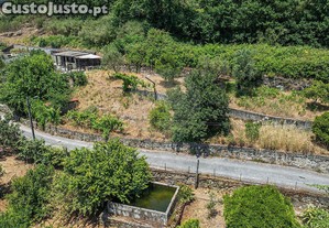 imagem_12