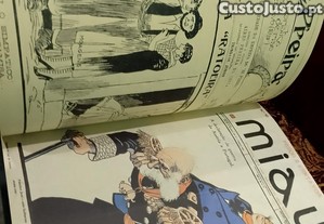 imagem_4