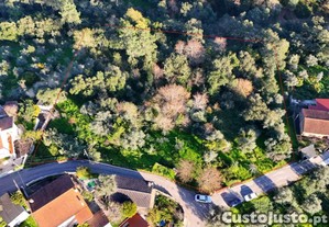 Terreno | Chão Do Bispo | 4990 M2