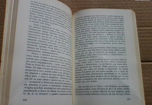 imagem_7