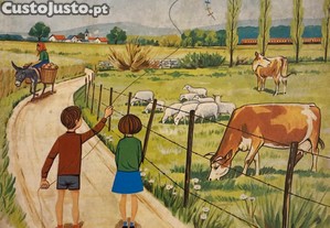 imagem_1