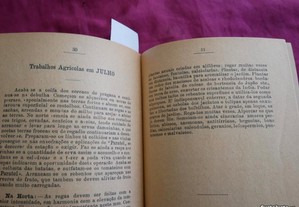 imagem_6